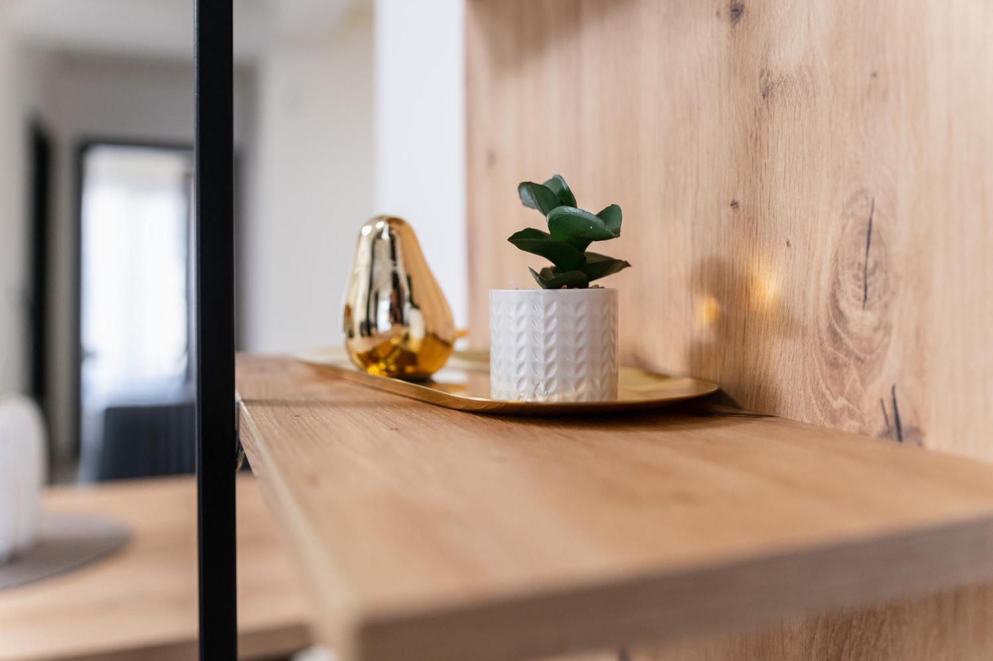 Modern 1-Bedroom Apartments プロヴディフ エクステリア 写真