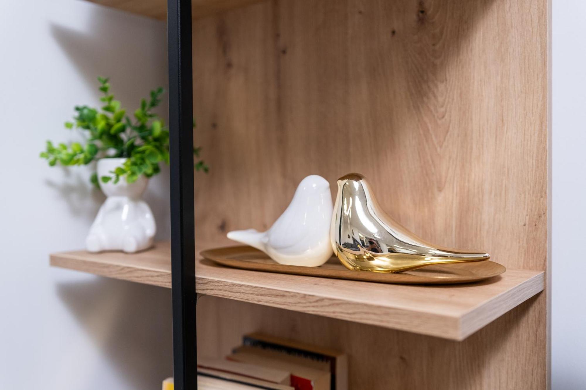 Modern 1-Bedroom Apartments プロヴディフ エクステリア 写真