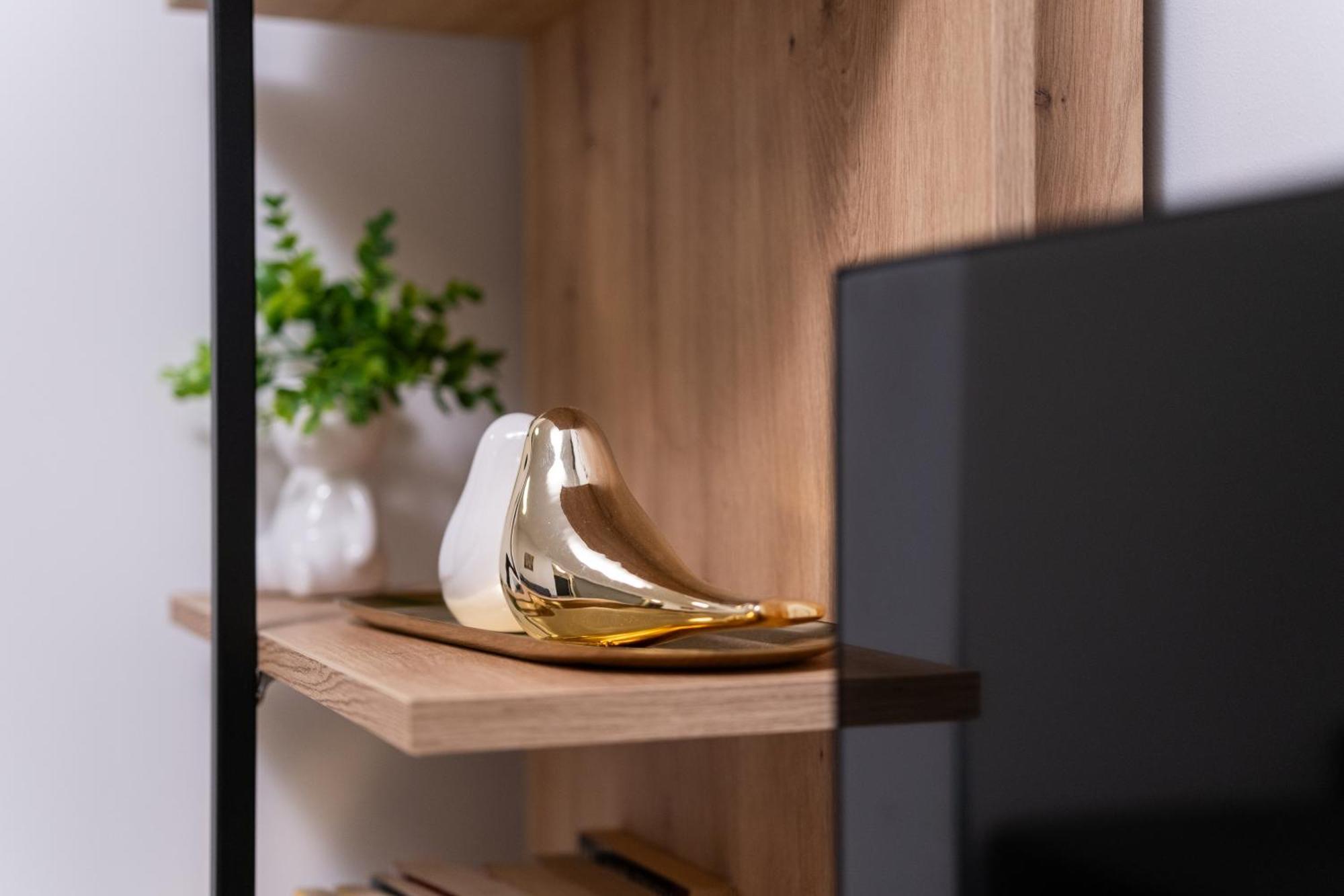 Modern 1-Bedroom Apartments プロヴディフ エクステリア 写真